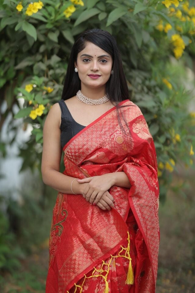 Soft Dola Fabric With Rich Pallu Saree image 6
