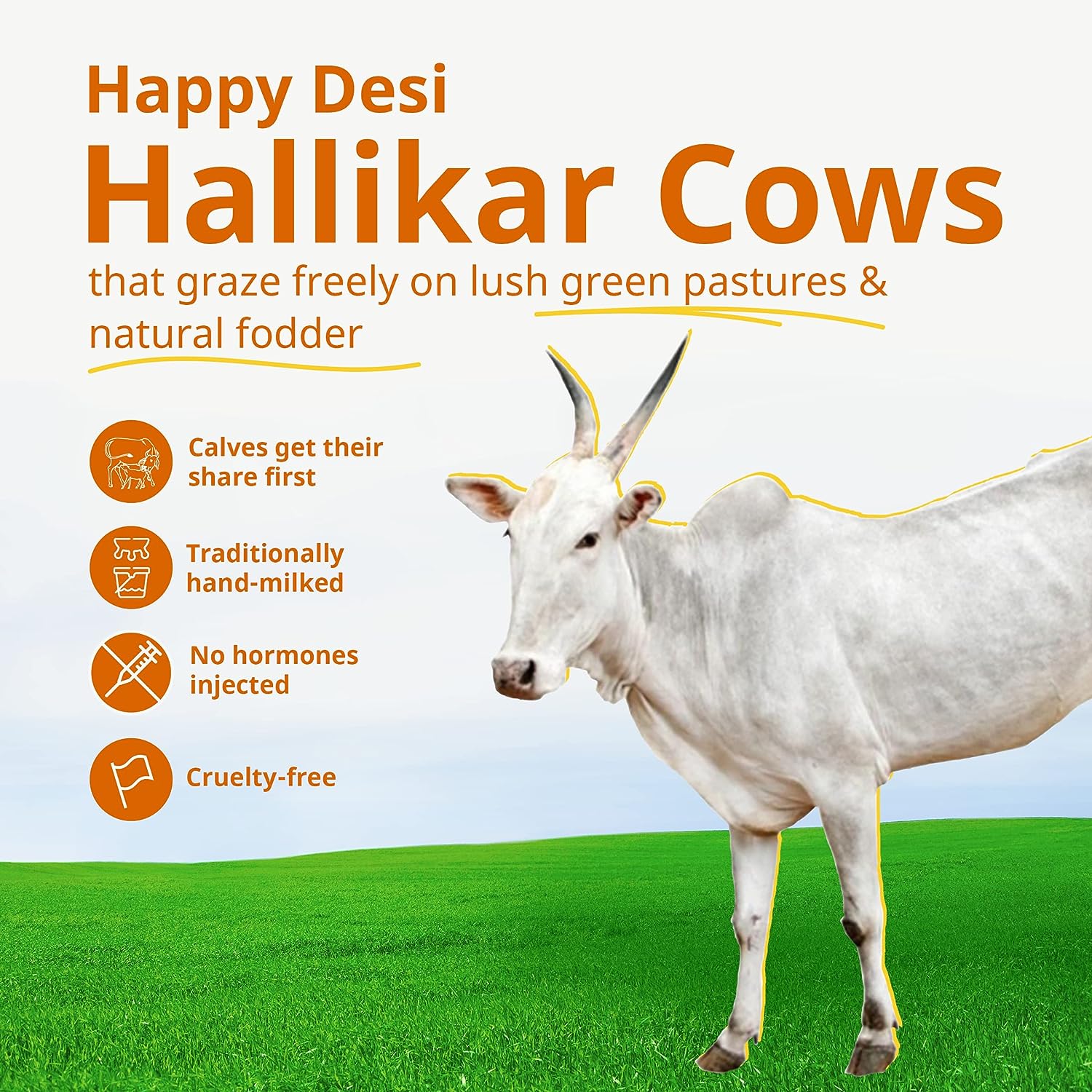 Anveshan A2 Desi Cow Ghee - 250 ml image 6