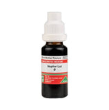 ADEL Homeopathy Nuphar Lut Mother Tincture Q - 20ml image 1