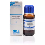 SBL Homeopathy Hydrangea Arborescens Mother Tincture Q image 2