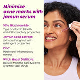 PLIX - THE PLANT FIX Niacinamide Jamun Moisturizer and Serum Combo(30 gm + 30ml) image 3