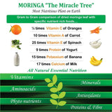 Attar Ayurveda Moringa Powder | 200g | Nutrient-Rich Superfood image 2