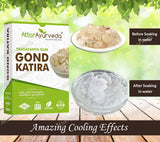 Attar Ayurveda Gond Katira image 2