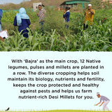 Two Brothers Organic Farms Kodo Millets - 1 kg image 7