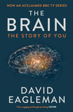The Brain (Paperback) image 1