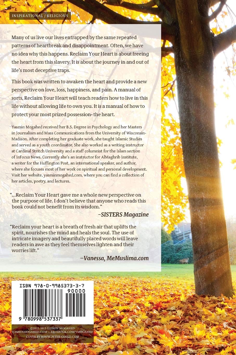 Reclaim Your Heart Paperback image 2