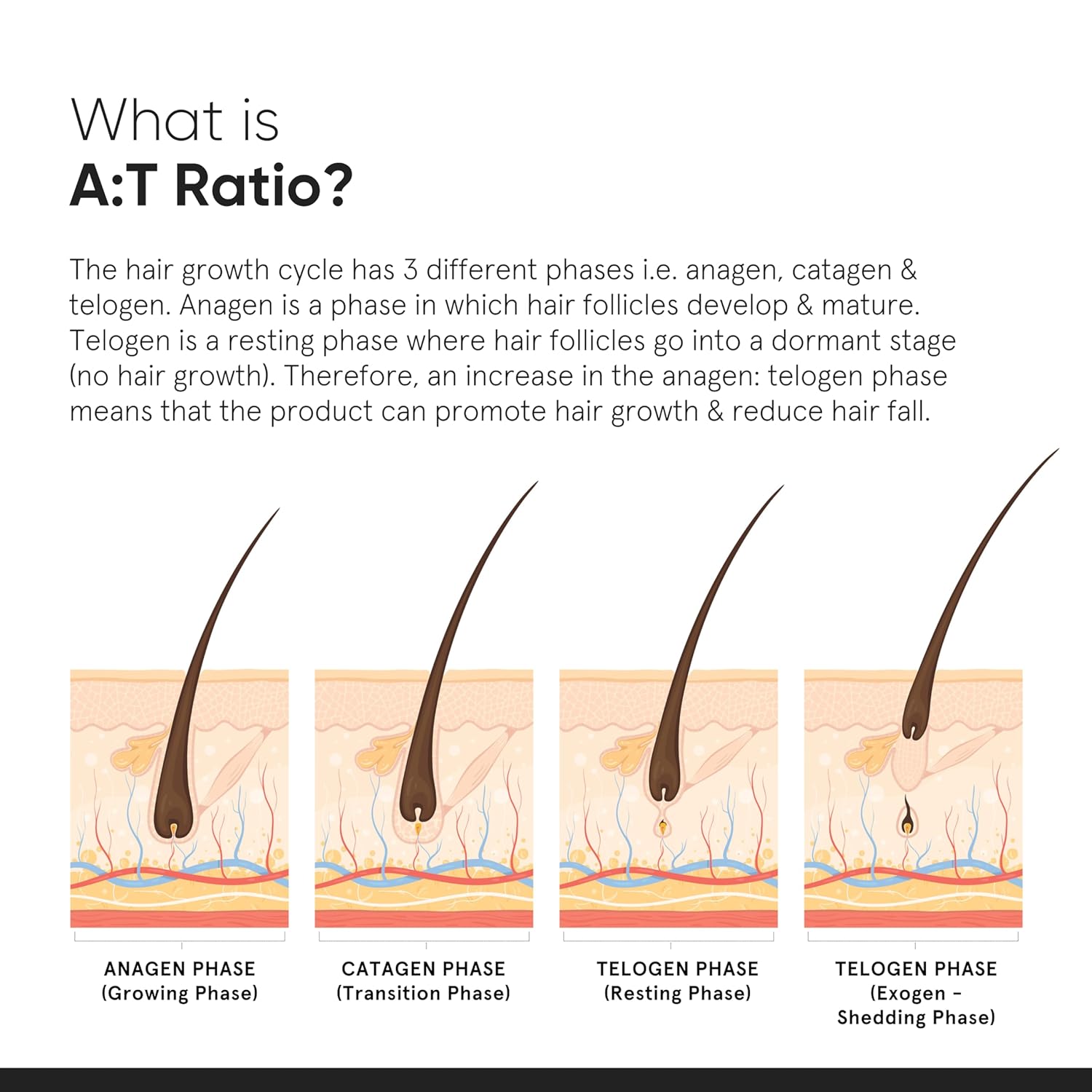 Minimalist Hair Growth Serum With 3% Redensyl, 3% Anagain, 3% Procapil- 30 ml image 6
