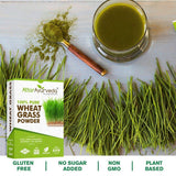 Attar Ayurveda Wheat Grass Powder image 5