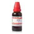 Dr. Willmar Schwabe India Mentha Piperita Mother Tincture Q image 1