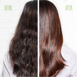 Matrix Biolage Smoothproof Camellia Shampoo image 2