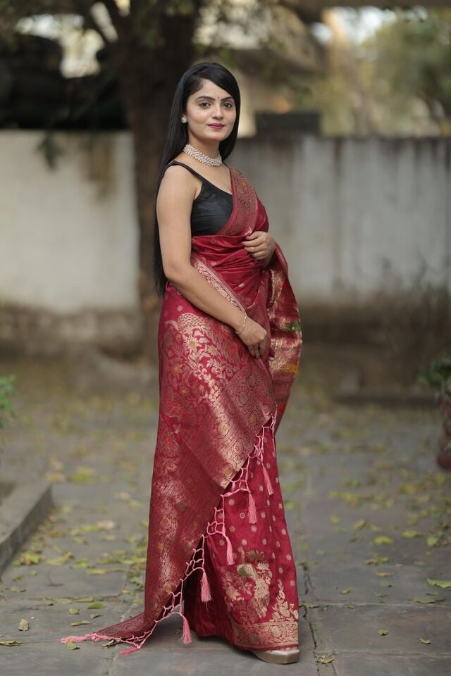 Soft Dola Fabric With Rich Pallu Saree image 8
