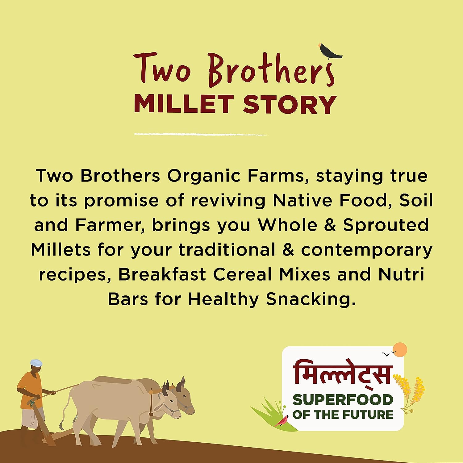 Two Brothers Organic Farms Kodo Millets - 1 kg image 8
