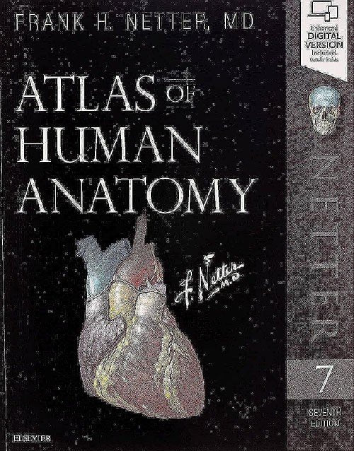 Atlas of Human Anatomy Netter Basic Science 7th Edition ISBN 9780323393225 Paperback bookcover – AVRBOOKS
