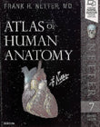 Atlas of Human Anatomy Netter Basic Science 7th Edition ISBN 9780323393225 Paperback bookcover – AVRBOOKS