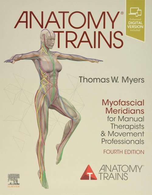 Book cover of Anatomy Trains: Myofascial Meridians for Manual Therapists and