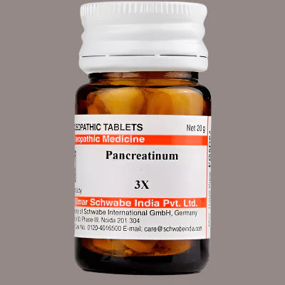 Dr. Willmar Schwabe Pancreatinum Trituration Tablets – 20g | Homeopathic Digestive Support image 1