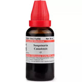 Dr. Willmar Schwabe India Sanguinaria Canadensis Mother Tincture Q image 1