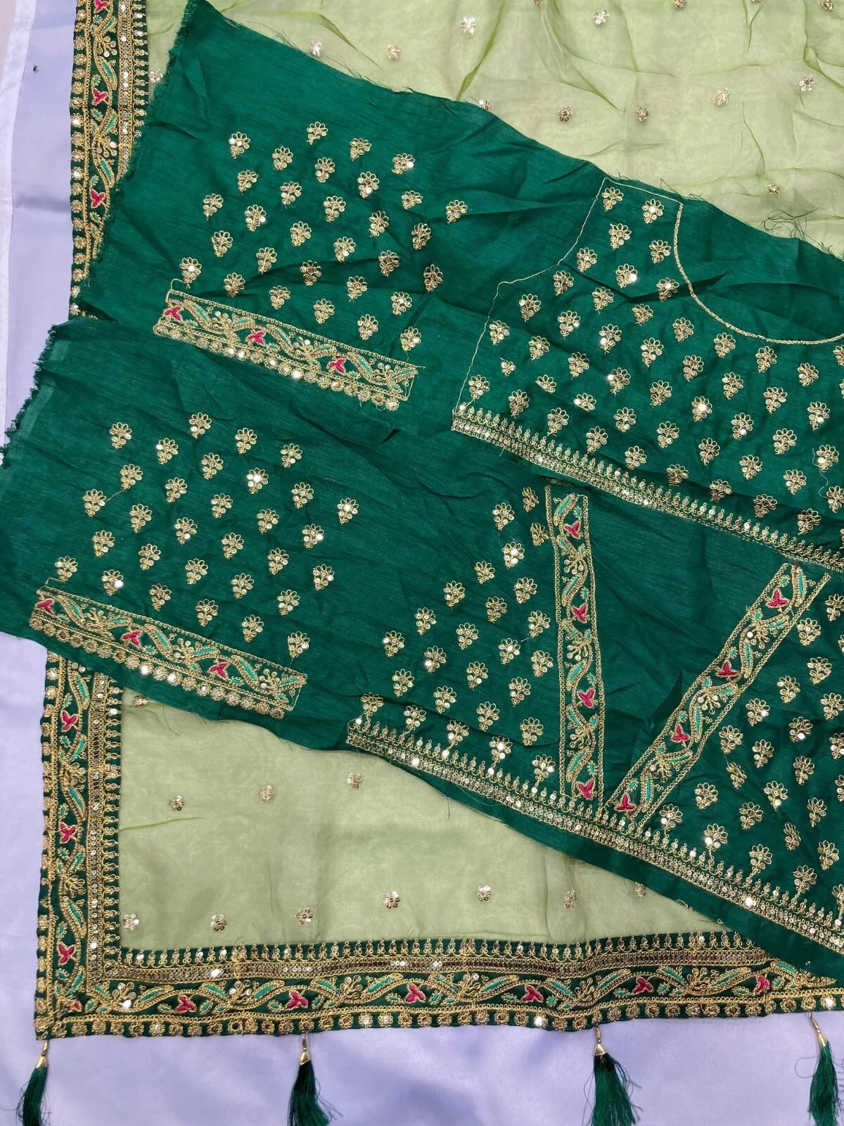 Royal Soft Organza With Heavy Embroidery Work Saree & Blouse image 9