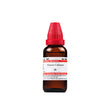 Dr. Willmar Schwabe India Acorus Calamus Mother Tincture Q image 1