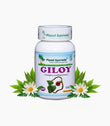 Planet Ayurveda Giloy Capsules - 60 tabs image 1