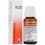 Dr. Reckeweg R25 Prostatitis Drops - 22 ml image 1
