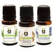 Anveya Aroma Essential Oils Gift Set image 1