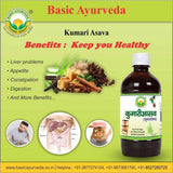 Basic Ayurveda Kumari Asava - 450 ml image 2