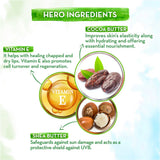 Mamaearth CoCo Tinted 100% Natural Lip Balm -2 gm image 3