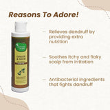 Mother Sparsh Ginger & Neem Anti-Dandruff Hair Oil - 200 ml image 2