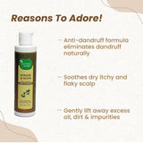 Mother Sparsh Ginger & Neem Anti-Dandruff Hair Cleanser image 4