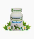 Planet Ayurveda Halorhena+ Herbal Capsules - 60 Count, Natural Digestive Support image 2