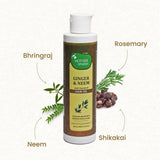 Mother Sparsh Ginger & Neem Anti-Dandruff Hair Oil - 200 ml image 3