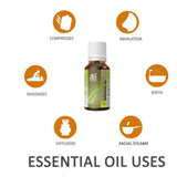 Ae Naturals Lemongrass Essential Oil image 4