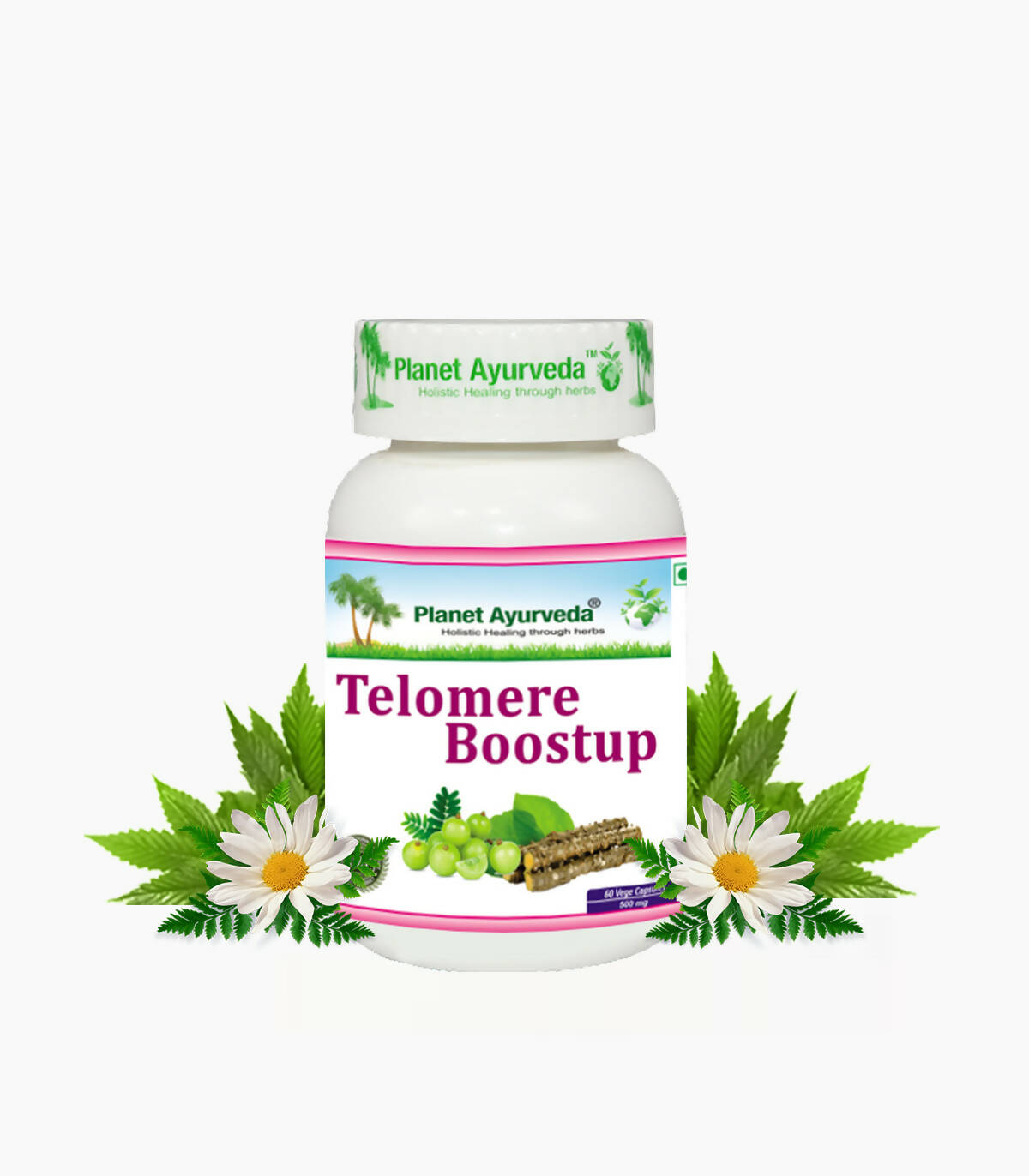 Planet Ayurveda Telomere Boostup Capsules - 60 tabs image 1