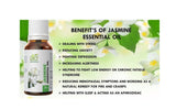 Ae Naturals Jasmine Essential Oil image 3