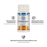 Biogetica Holoram Endokrium - Natural Neuroendocrine Support - 60 Capsules image 4