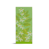 Diffuser Oil | 1 unit of 15ml | Set of 2 | Multiple Options image 19