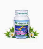 Planet Ayurveda Stress Support Capsules - 60 tabs image 1