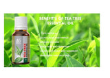 Ae Naturals Tea Tree Essential Oil image 3