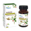 Dhootapapeshwar Guduchi Tablets - 60 tabs image 1