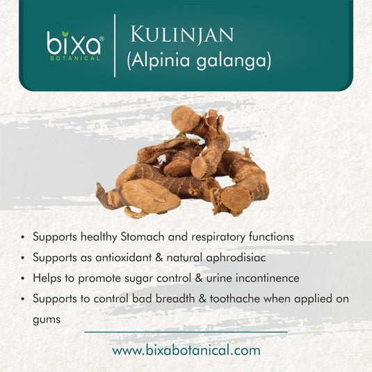 Bixa Botanical Kulinjan Root Powder – Aromatic Greater Galangal (Alpinia galanga) image 4