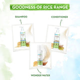 Mamaearth Rice Wonder Water Detangled Hair in 7 Seconds - 100 ml image 2
