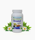 Planet Ayurveda Sitopladi Churna - 100 gms image 1