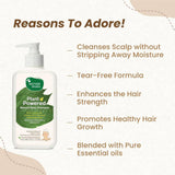 Mother Sparsh Plant Powered Natural Baby Shampoo image 3