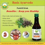 Basic Ayurveda Patdrill Drink - 250 ml image 2