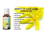 Ae Naturals Ylang Ylang Essential Oil image 3
