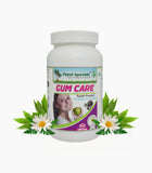 Planet Ayurveda Gum Care Powder - 100 gms image 1