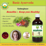 Basic Ayurveda Kalmeghasav - 450 ml image 2