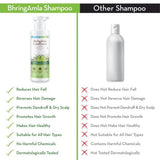 Mamaearth BhringAmla Shampoo with Bhringraj and Amla - 250ml image 4