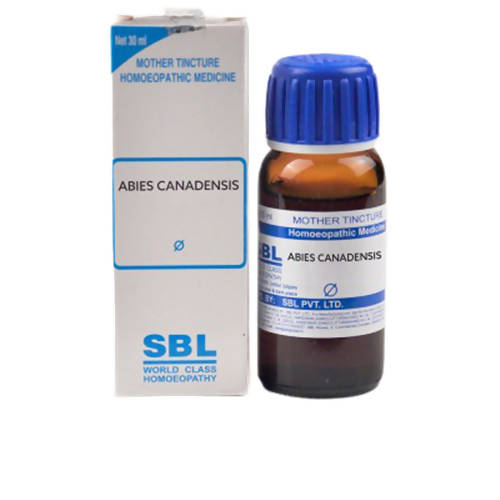 SBL Homeopathy Abies Canadensis Mother Tincture Q image 1